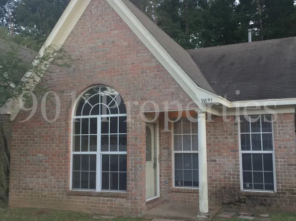 9851 Maggie Woods Ln, Arlington, TN 38002