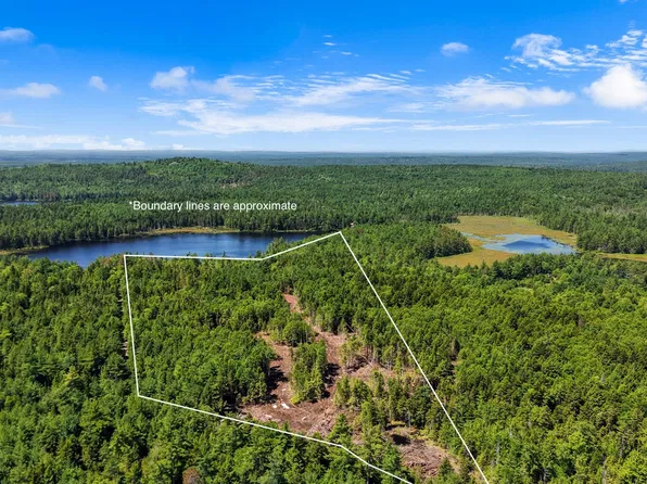 M9L45 NE NE Bluff Lane, Beddington, ME 04622
