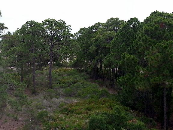 4th image of 106 Plover Dr