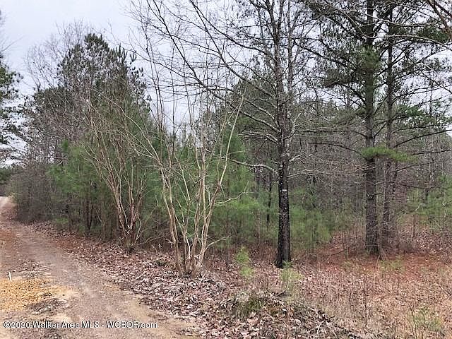 Image 1: View of Lot