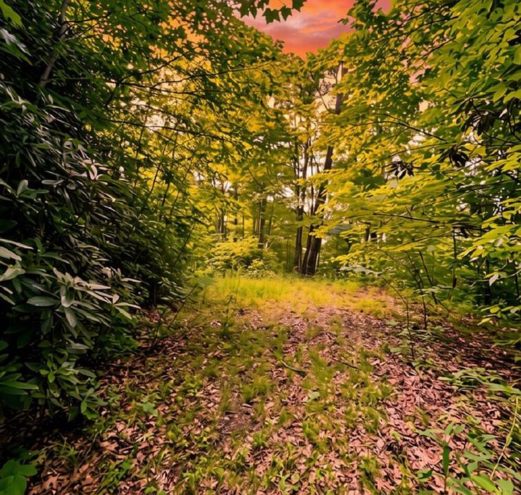 1st image of 0 Turkey Ridge Rd
