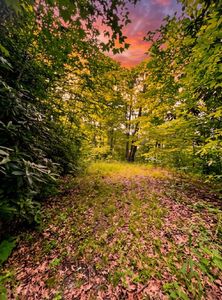 0 Turkey Ridge Rd, Bryson City, NC, 28713
