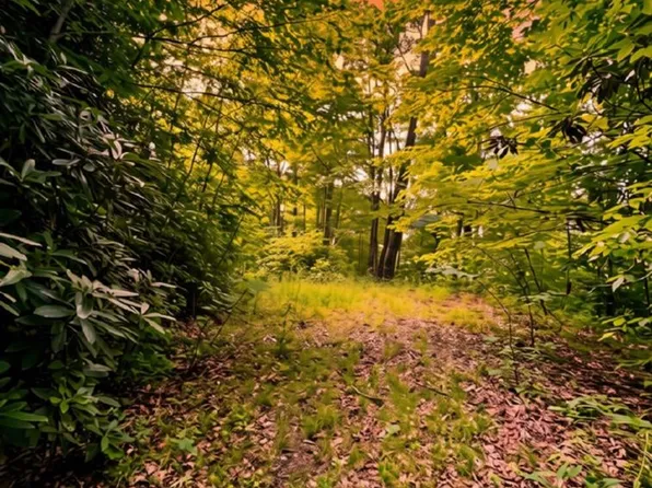 0 Turkey Ridge Rd, Bryson City, NC 28713