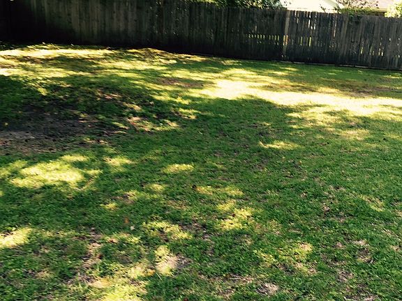 Back yard