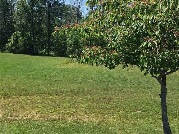 5th image of Blueberry Ln