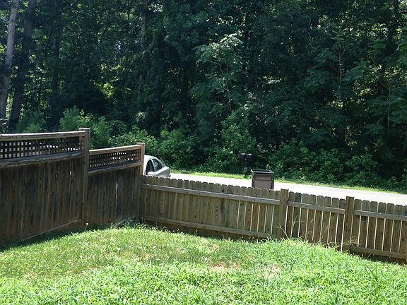 View out the back door.