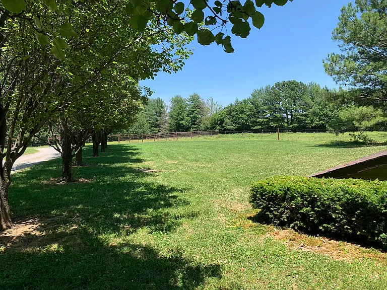 Jennie Ln — Photo 3