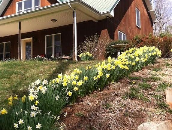 33a61169-61ec-4079-9c65-6c5e06e9381d