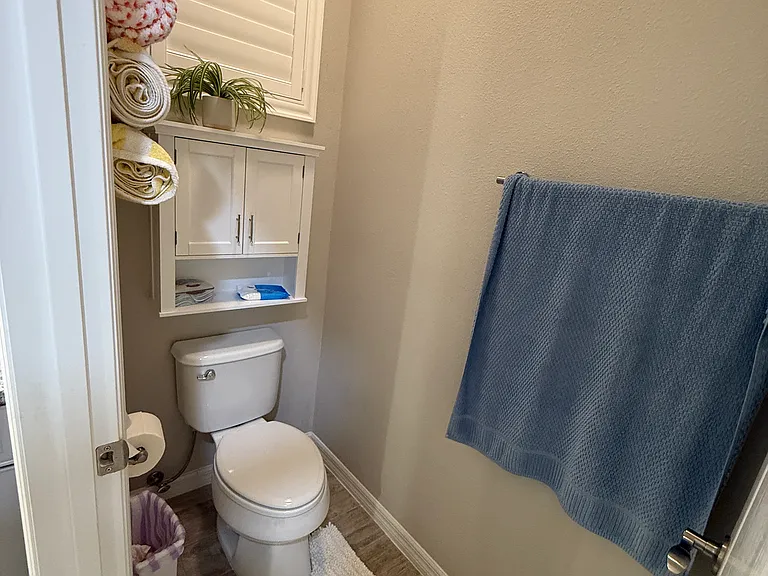 Toilet room in Master