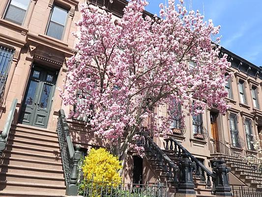 Rented by The Bay Front Estates at Mill Basin | media 29