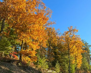 LOT 50 Pine Ridge Way, Caldwell, WV, 24925