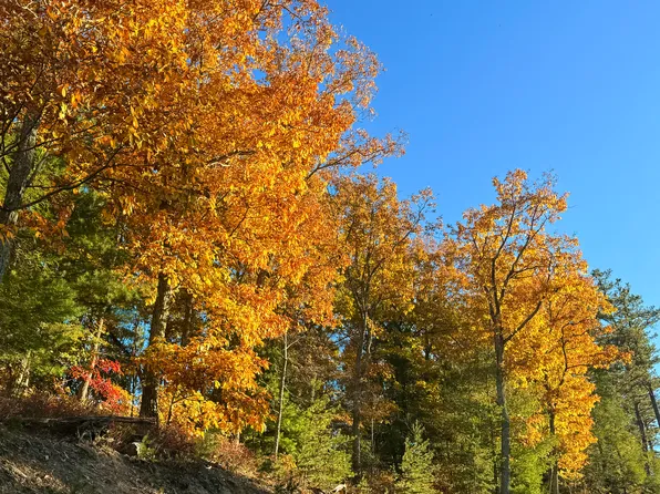 LOT 50 Pine Ridge Way, Caldwell, WV 24925
