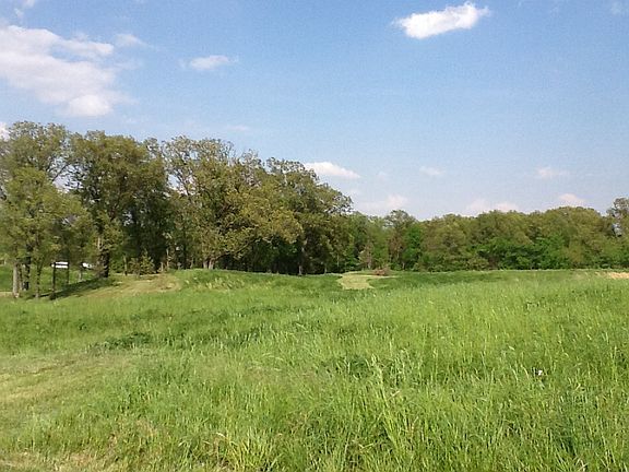 2nd image of 11 Acres In Otter Creek Township