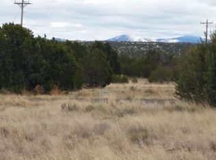 LOT 21 Mountain Pine Rd, Concho, AZ 85924