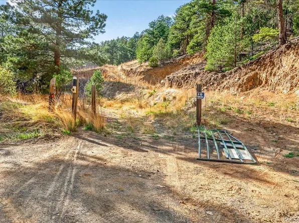 700 County Road 102J, Ward, CO 80481