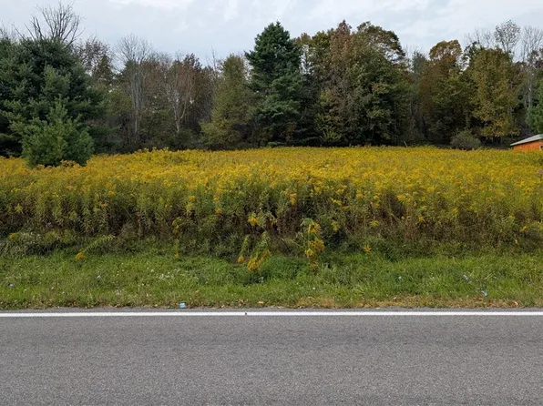 0 Gorton Rd #1, Hamilton, NY 13346