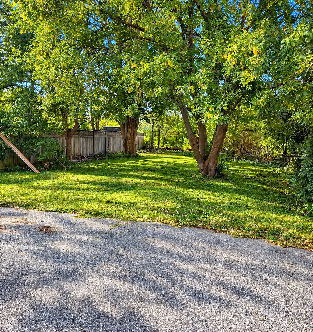 5 bed, 1611 sqft, $5,750 — Photo 4