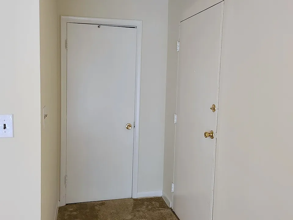 Entry, closet