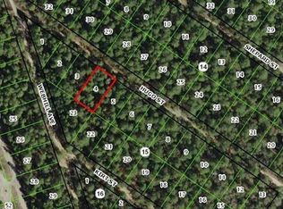 2521 Hugo St, Inverness, FL 34452