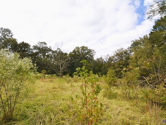 2nd image of Como Rd