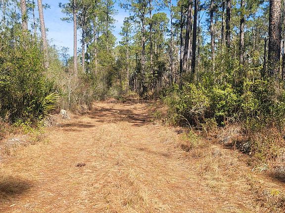 5th image of 0 Smith Creek Rd