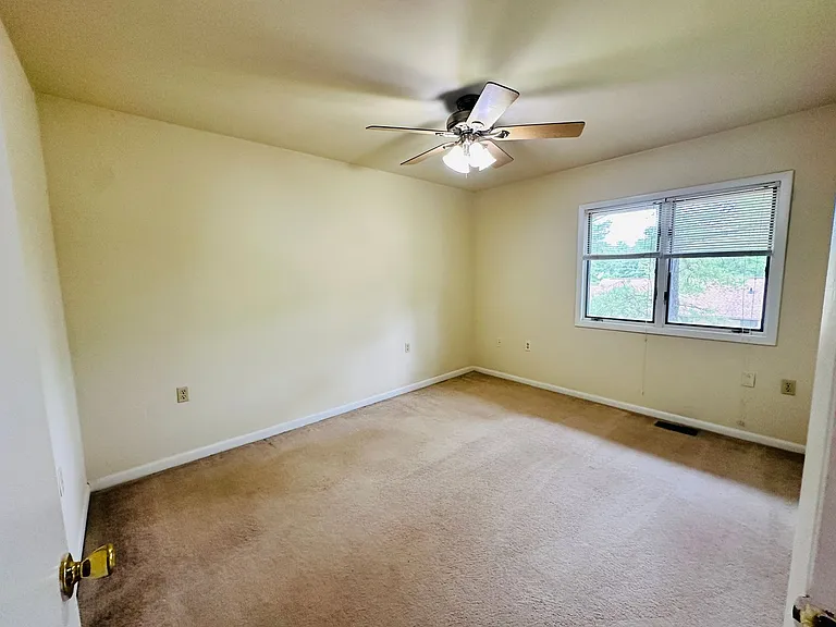 301 Shenandoah Cir — Photo 18