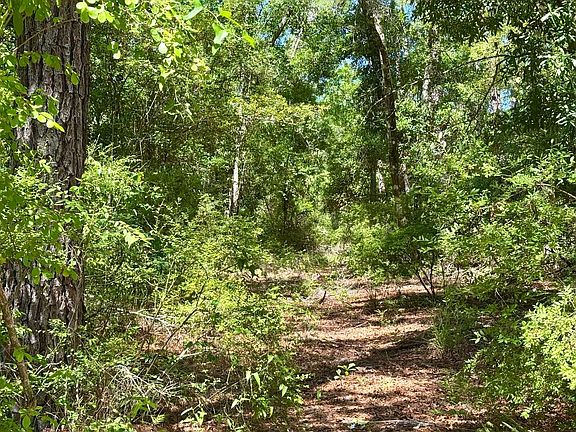 3rd image of LOT 37 NW 79th Dr