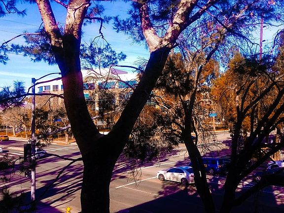 3rd image of 21400 Burbank Blvd APT 224