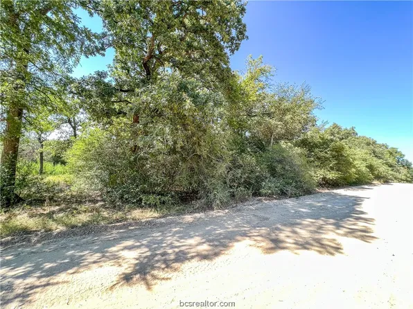 S Swan Lake Dr, Snook, TX 77836