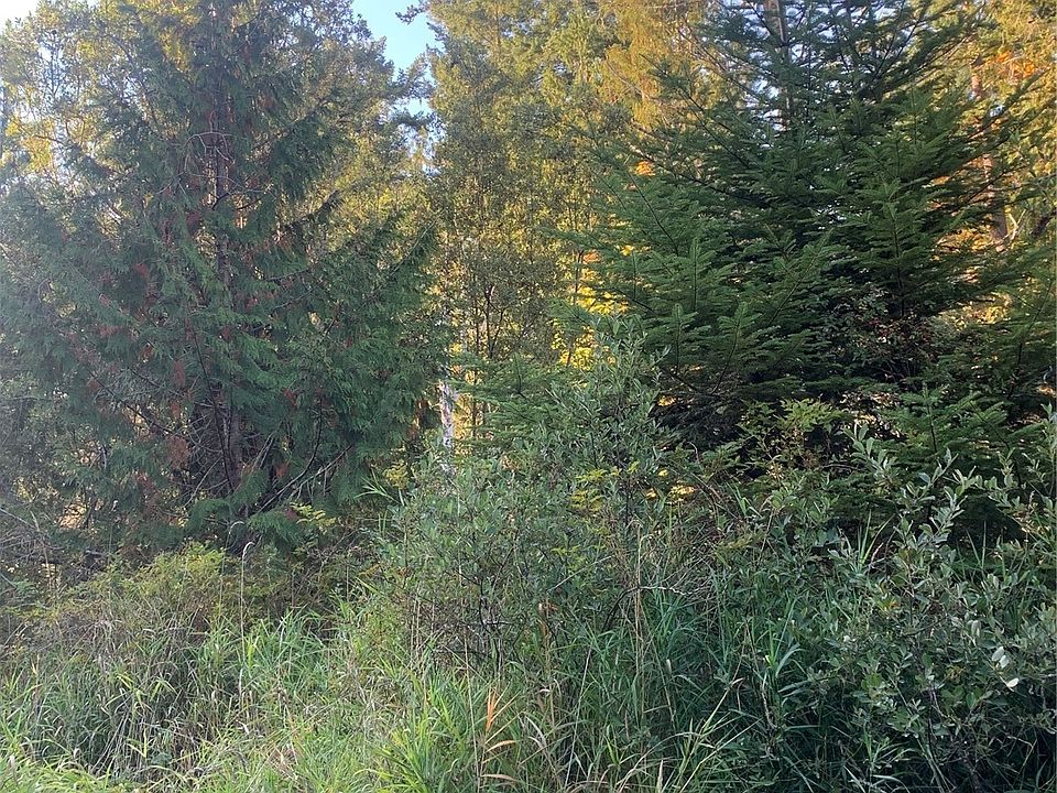 2nd image of 30 Harmon Ranch Road