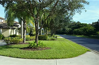 3 bed, 1624 sqft, $3,495 — Photo 3