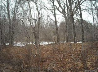 32 W Upper Ferndale Rd, East Branch, NY 13756