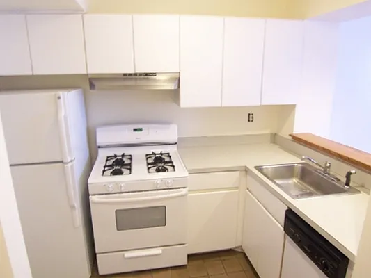 Rented by Citi Habitats | media 8