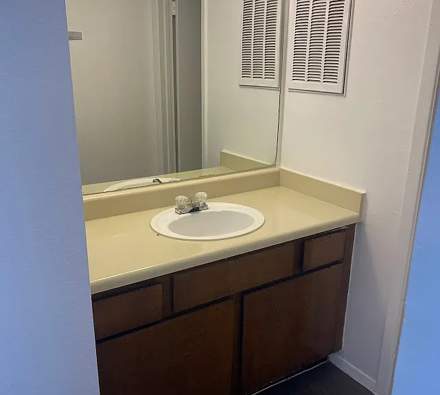Sink View- Big enough for two