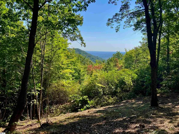 118 Ridge Pass Way, Landrum, SC 29356