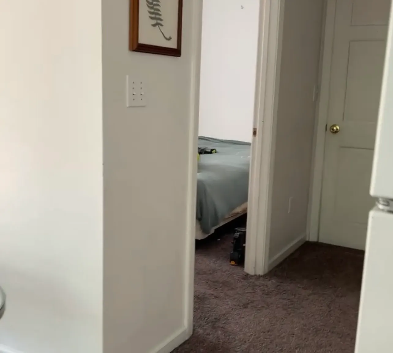 1 bed, 550 sqft, $1,450 — Photo 2