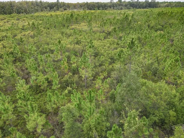 115 Beaver Rd, Carrabelle, FL 32322