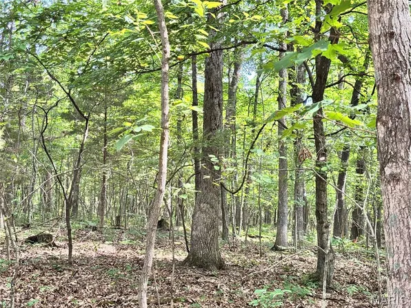 LOT Five Springview Farms, Marthasville, MO 63357