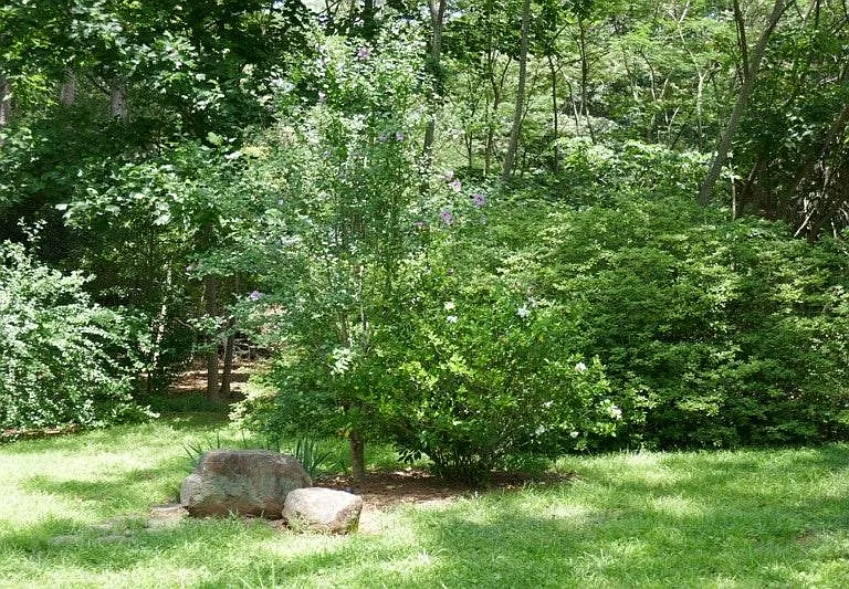 2314 Wineleas Rd — Photo 8