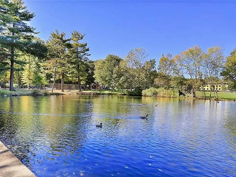Waterfront Pond