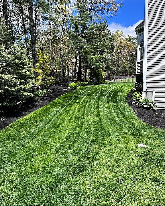 2nd image of 31 Windsor Dr