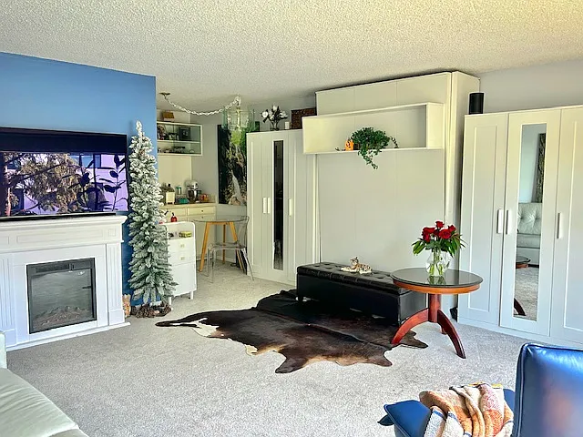 Living Room, Queen Murphy Bed