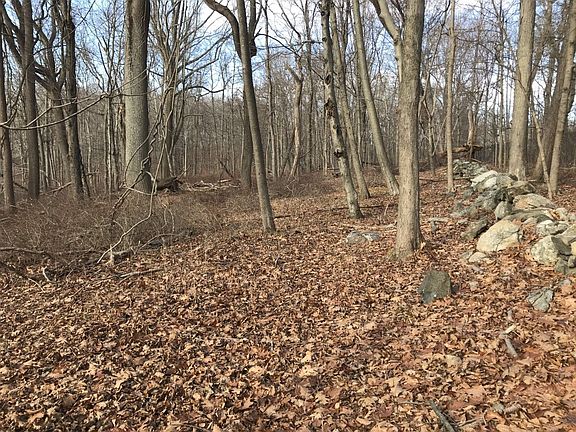 thumbnail_IMG_5882 (1).jpg