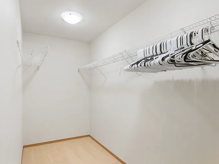 massive walk in closet