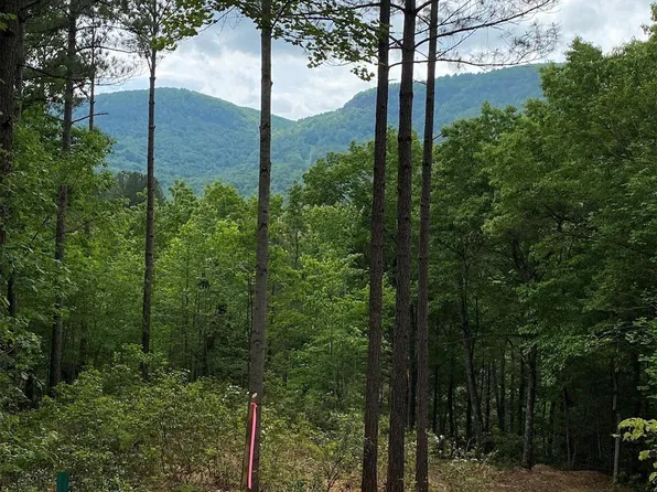 25 Monteith Pl, Mill Spring, NC 28756