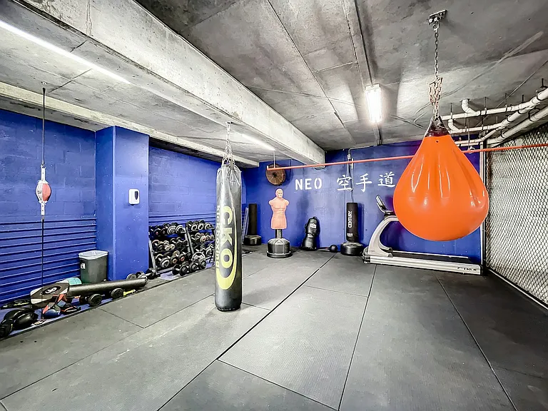 fitness center: Dojo