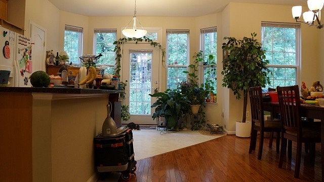 1st image of 4524 English Holly Dr