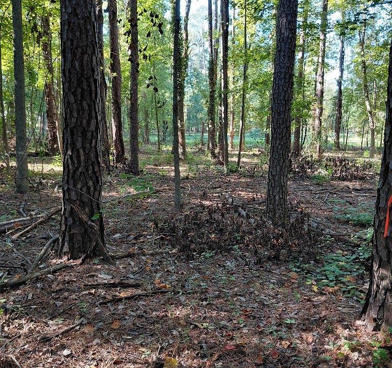 1st image of 0 State Highway 73
