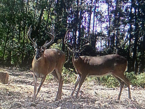 2nd image of 0 E Doc Clark Rd
