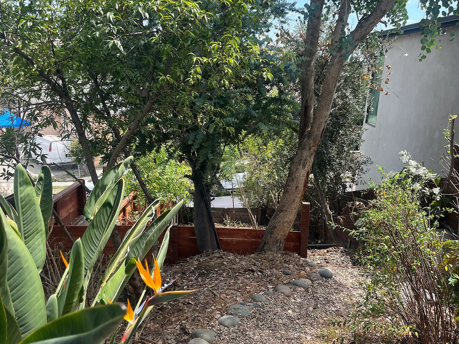 4 bed, 1278 sqft, $4,800 — Photo 4